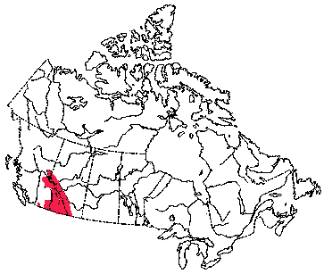 Map of Golden-Mantled Ground Squirrel in Canada