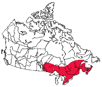 Map of Southern Bog Lemming in Canada