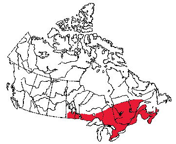 Map of Eastern Chipmunk in Canada
