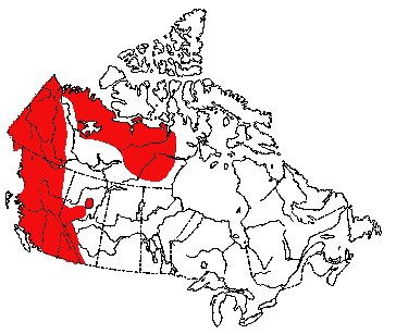 Map of Grizzly Bear in Canada