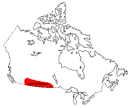 Map of Swift Fox in Canada