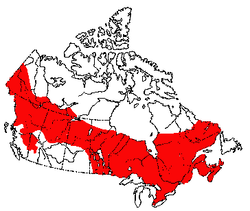 Map of Meadow Jumping Mouse in Canada