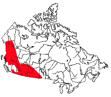 Map of Western Jumping Mouse in Canada