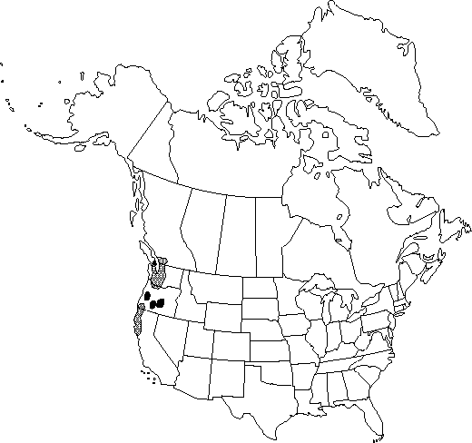 Map of <i>Achlys californica</i> in Canada