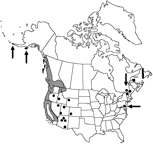 Map of Western maidenhair, Aleutian maidenhair in Canada