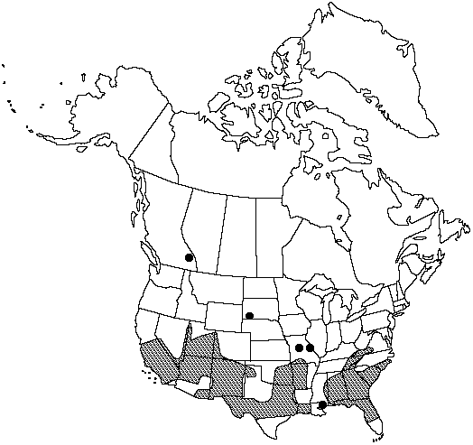 Map of Venus's-hair fern, southern maidenhair in Canada