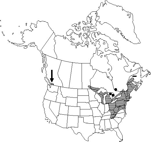 Map of Climbing fumitory, Allegheny-vine, mountain-fringe in Canada