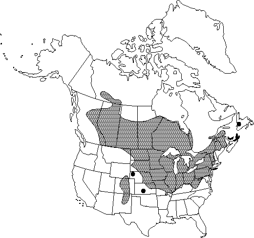 Map of Canada anemone in Canada