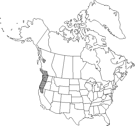 Map of Little mountain anemone in Canada