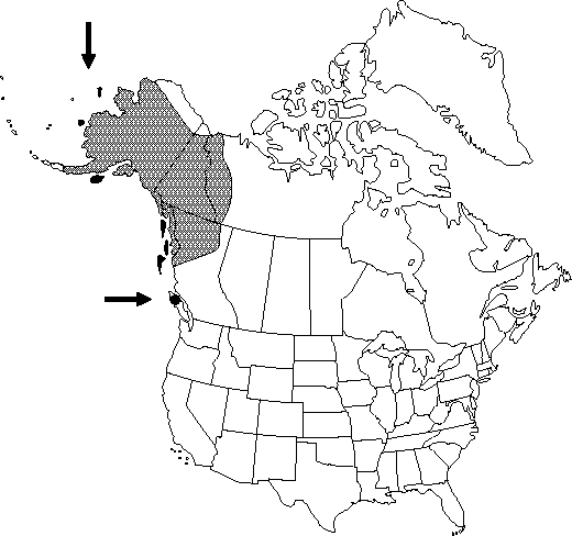 Map of <i>Anemone narcissiflora  monantha</i> in Canada