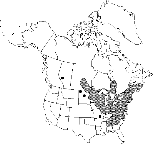 Map of <i>Anemone quinquefolia quinquefolia</i> in Canada