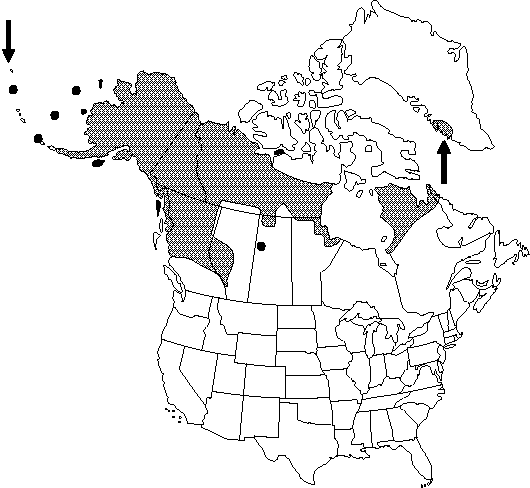 Map of Yellow anemone in Canada