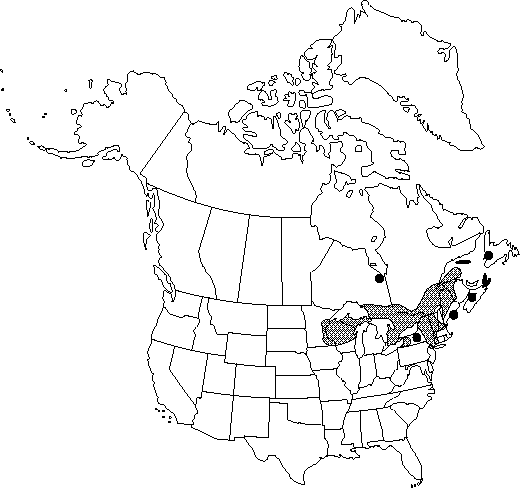 Map of <i>Anemone virginiana alba</i> in Canada