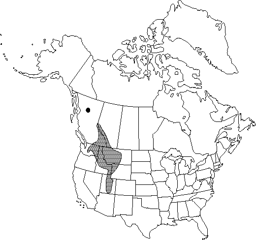 Map of <i>Aquilegia flavescens</i> in Canada