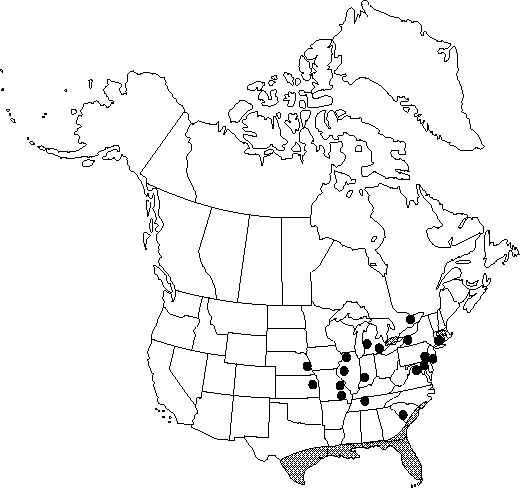 Map of <i>Argemone mexicana</i> in Canada