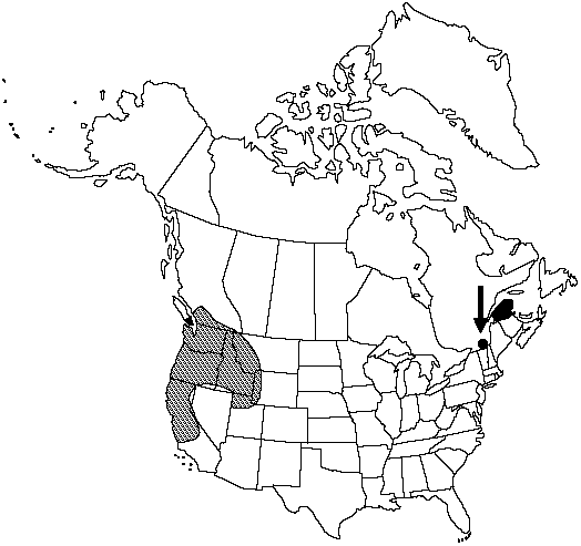 Map of Indian's dream in Canada