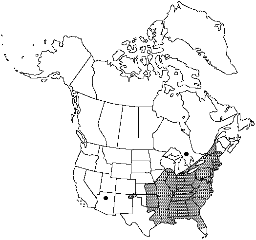 Map of Ebony spleenwort in Canada