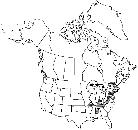 Map of Wall rue in Canada