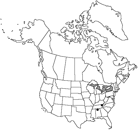 Map of American hart's-tongue. in Canada