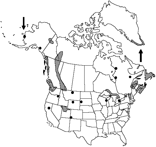 Map of Green spleenwort in Canada