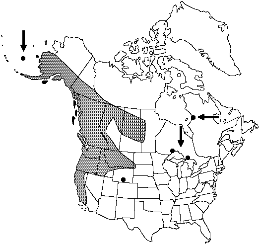 Map of Northwestern lady fern in Canada