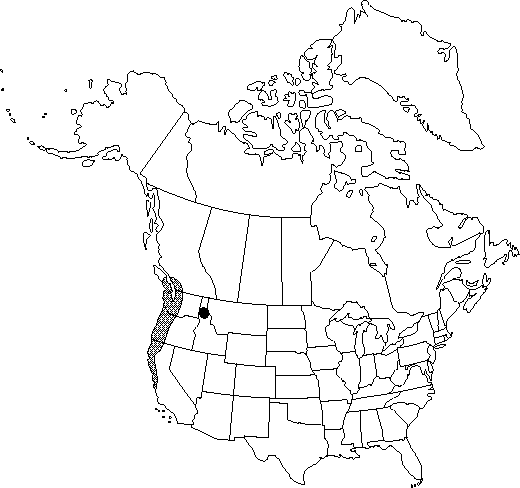 Map of <i>Berberis nervosa</i> in Canada