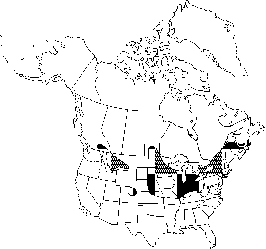 Map of Common barberry in Canada