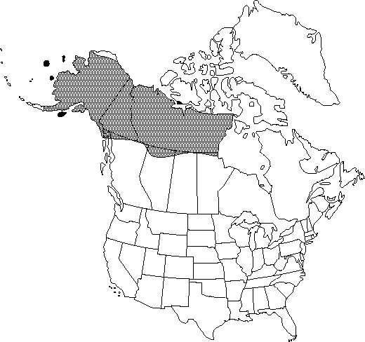 Map of Arctic dwarf birch in Canada
