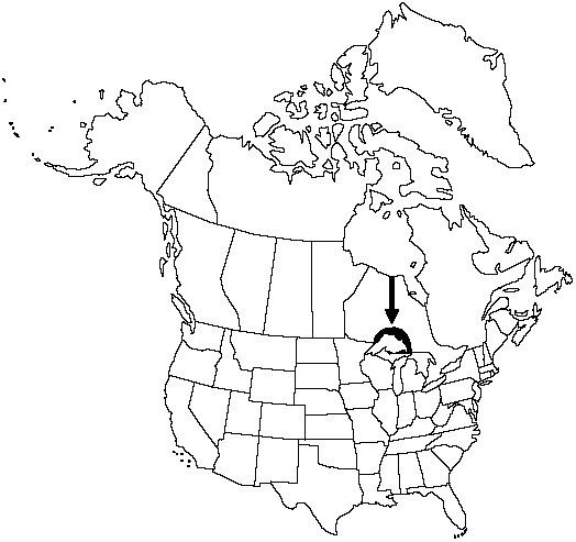 Map of Pointed moonwort in Canada