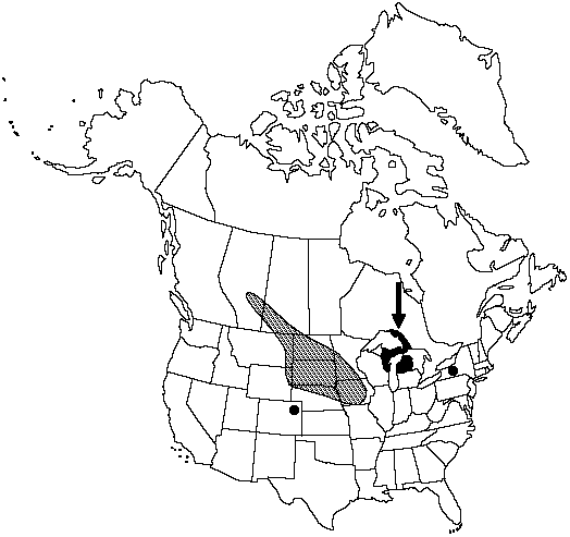 Map of Prairie moonwort in Canada