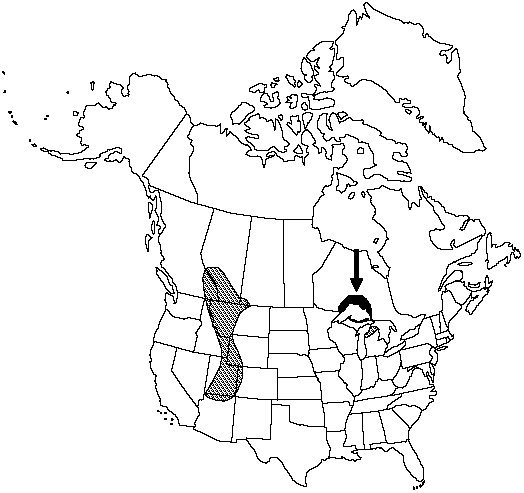 Map of Western moonwort in Canada