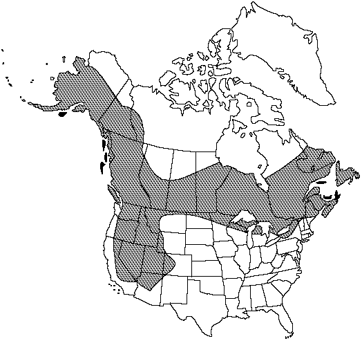 Map of Mingan moonwort in Canada