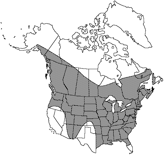 Map of Rattlesnake fern, common grapefern in Canada