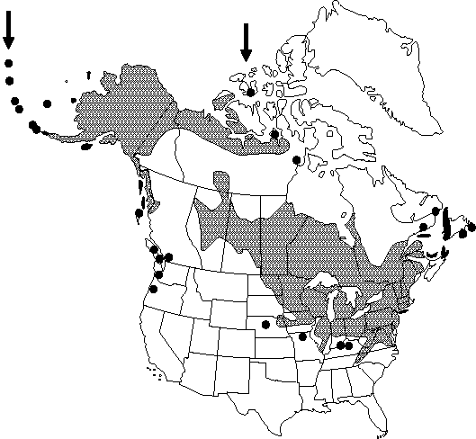 Map of Cowslip, cowflock, kingcup, buttercup in Canada