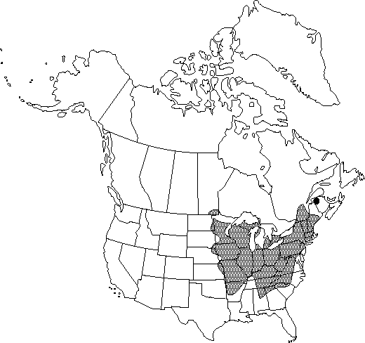 Map of Blue cohosh, squaw-root, papoose-root in Canada