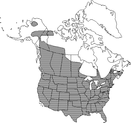 Map of Coontail, hornwort in Canada