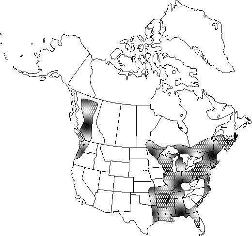 Map of Hornwort in Canada