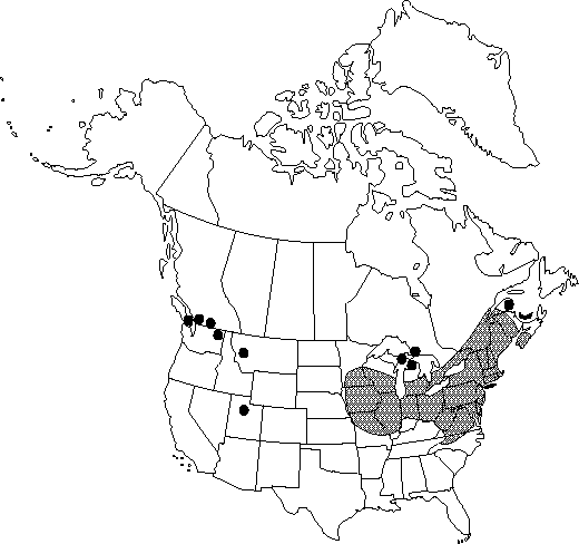 Map of <i>Chelidonium majus</i> in Canada