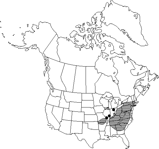 Map of Black snakeroot, black cohosh in Canada