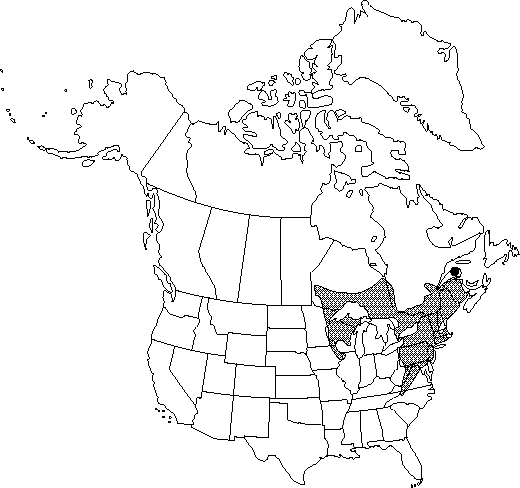 Map of <i>Clematis occidentalis occidentalis</i> in Canada