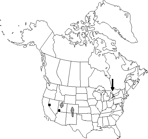 Map of <i>Clematis orientalis</i> in Canada