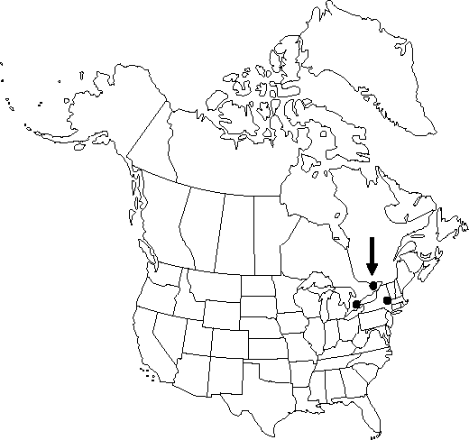 Map of <i>Clematis recta </i> in Canada