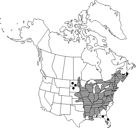 Map of Virgin's-bower in Canada