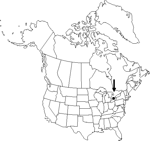 Map of <i>Clematis viticella</i> in Canada