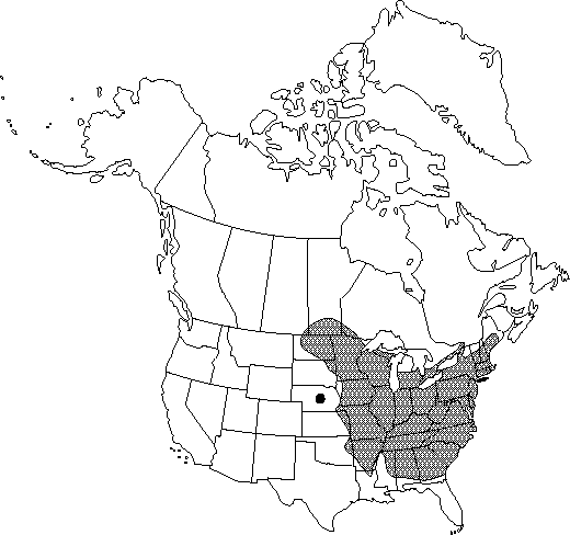 Map of American hazel or hazelnut in Canada