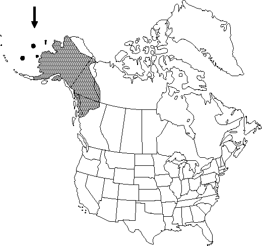 Map of <i>Corydalis pauciflora</i> in Canada