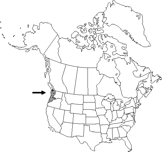 Map of <i>Corydalis scouleri</i> in Canada