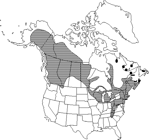 Map of Pink and yellow corydalis, pale corydalis, harlequin-flower in Canada