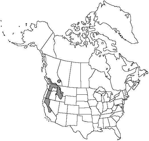 Map of Cascade parsley fern in Canada