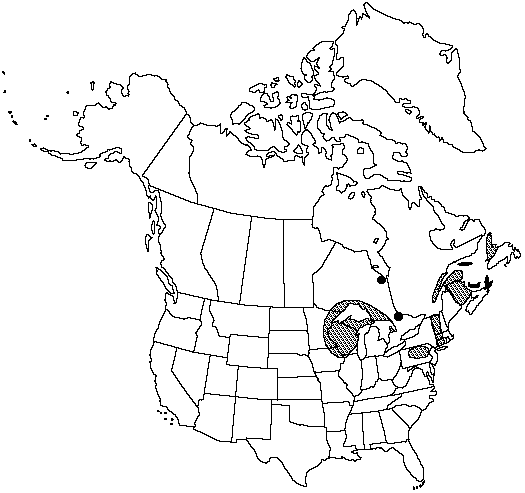 Map of Laurentian bladder fern in Canada